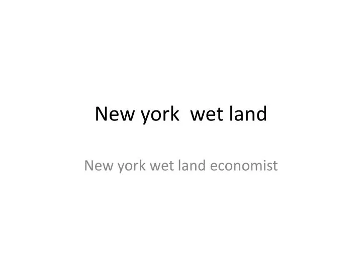 new york wet land