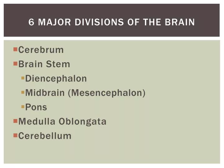 6 major divisions of the brain