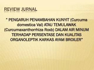 review jurnal
