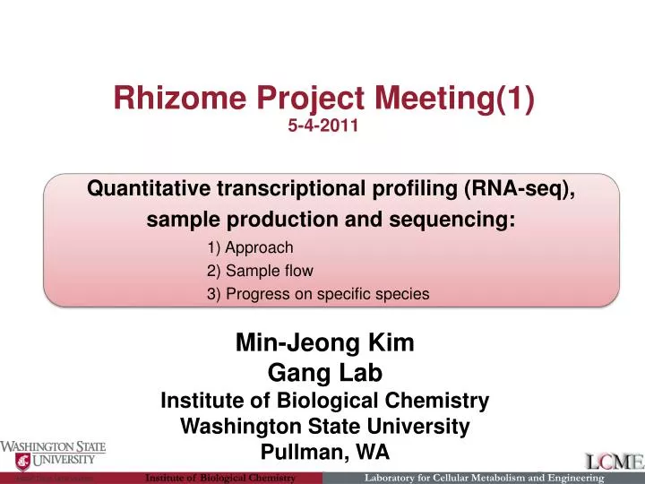 rhizome project meeting 1 5 4 2011