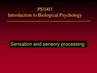 Sensation and sensory processing