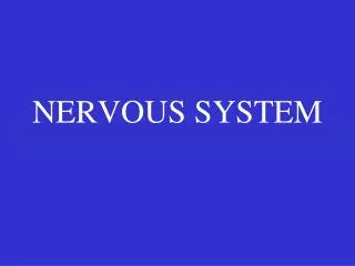 NERVOUS SYSTEM