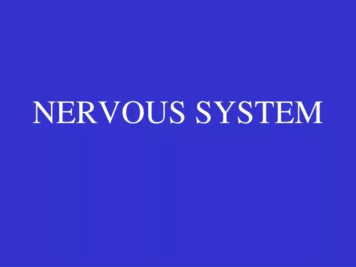 nervous system