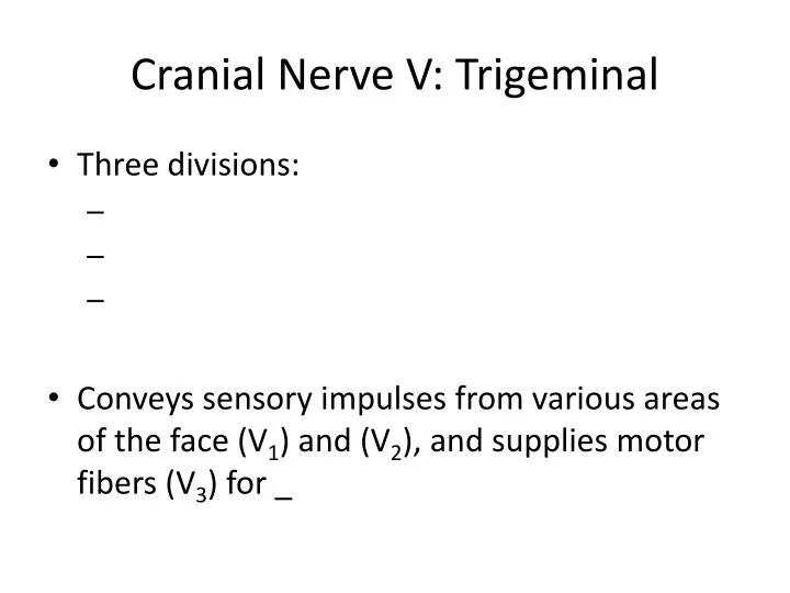 cranial nerve v trigeminal