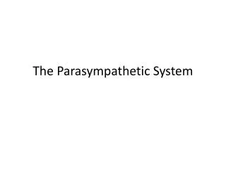 The Parasympathetic System