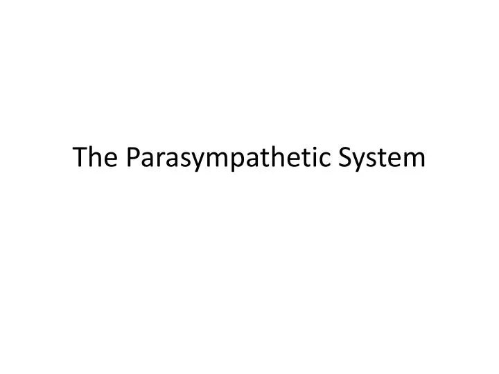 the parasympathetic system