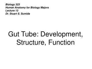 Biology 323 Human Anatomy for Biology Majors Lecture 13 Dr. Stuart S. Sumida