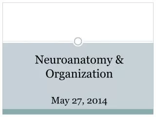 Neuroanatomy &amp; Organization May 27, 2014
