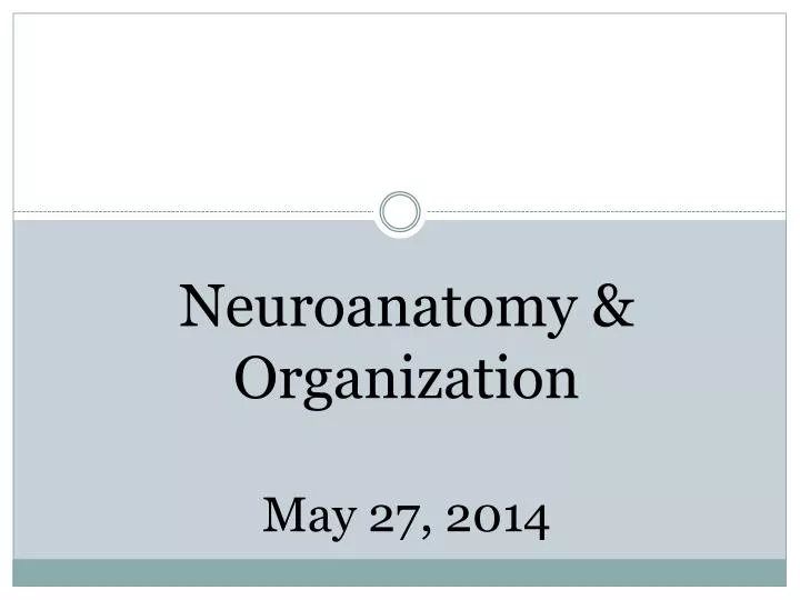 neuroanatomy organization may 27 2014
