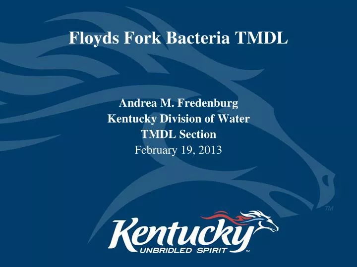 floyds fork bacteria tmdl
