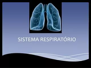 sistema respirat rio