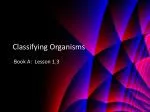 Classifying Organisms - slide 1