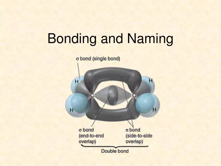 bonding and naming