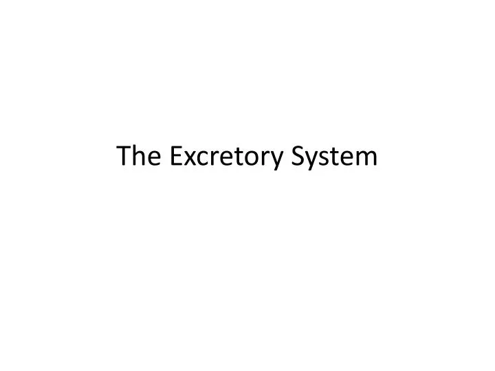 the excretory system