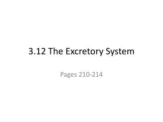 3.12 The Excretory System