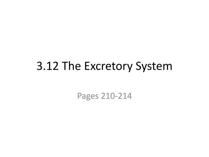 3 12 the excretory system