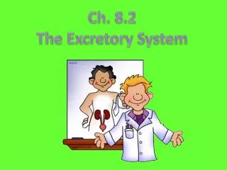 Ch. 8.2 The Excretory Syste m