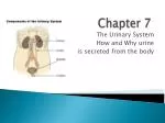 Chapter 7 - slide 1
