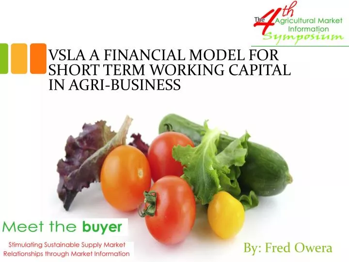 vsla a financial model for short term working capital in agri business