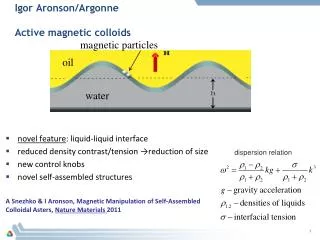 Igor Aronson/Argonne Active magnetic colloids