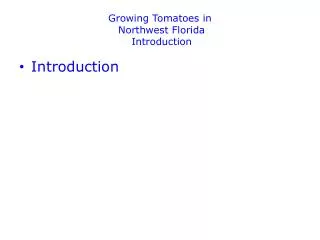 Growing Tomatoes in Northwest Florida Introduction