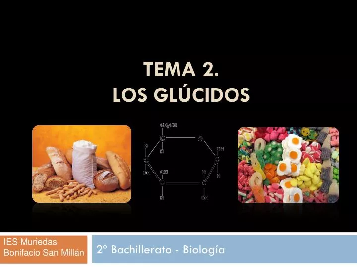 tema 2 los gl cidos