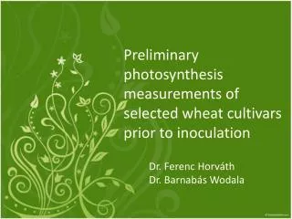 Preliminary photosynthesis measurements of selected wheat cultivars prior to inoculation