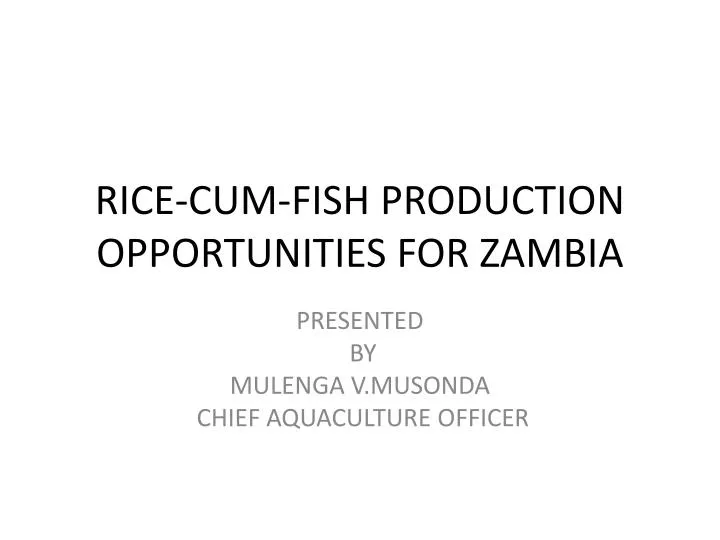 rice cum fish production opportunities for zambia