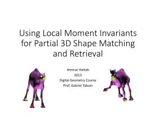 Using Local Moment Invariants for Partial 3D Shape Matching and Retrieval