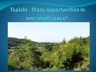 Tsaishi - Many opportunities in one small space!