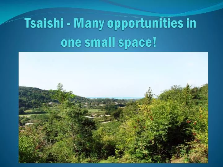 tsaishi many opportunities in one small space