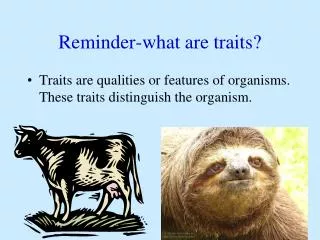 Reminder-what are traits?