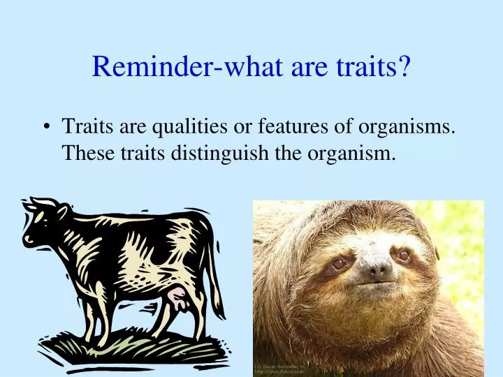 reminder what are traits