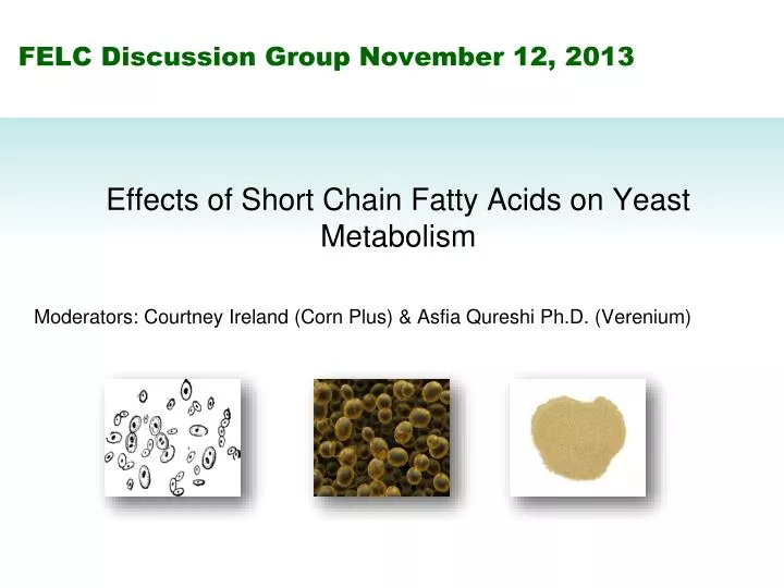 felc discussion group november 12 2013
