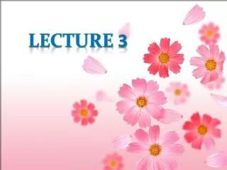 Lecture 3