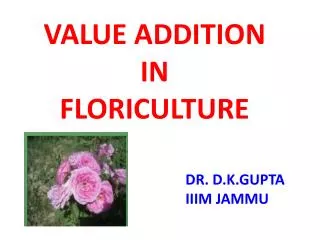 VALUE ADDITION IN FLORICULTURE