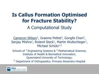 Is Callus Formation Optimised for Fracture Stability? A Computational Study