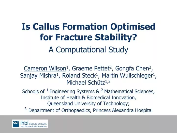 is callus formation optimised for fracture stability a computational study