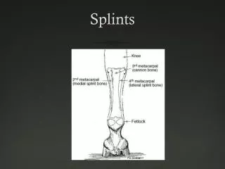 Splints