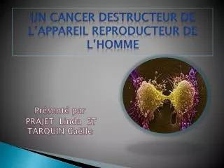 Un cancer destructeur de l’appareil reproducteur de l’homme