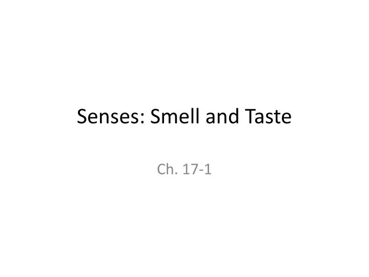 senses smell and taste