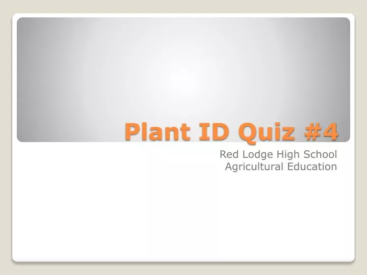 plant id quiz 4