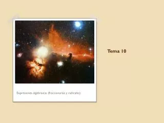 tema 10