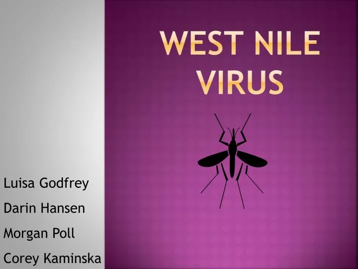 Ppt West Nile Virus Powerpoint Presentation Free Download Id
