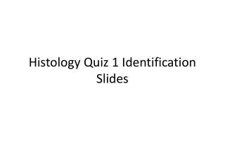 Histology Quiz 1 Identification Slides