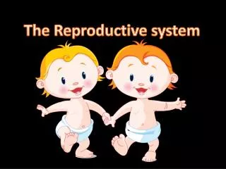 The Reproductive system