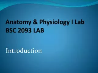 Anatomy &amp; Physiology I Lab BSC 2093 LAB
