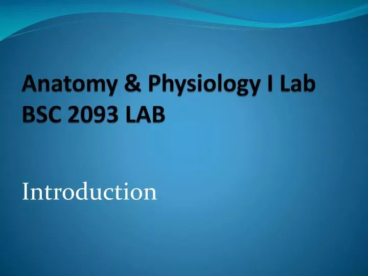 anatomy physiology i lab bsc 2093 lab