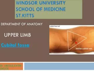 windsor university school of medicine st kitts