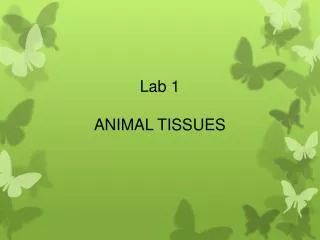 Lab 1 ANIMAL TISSUES
